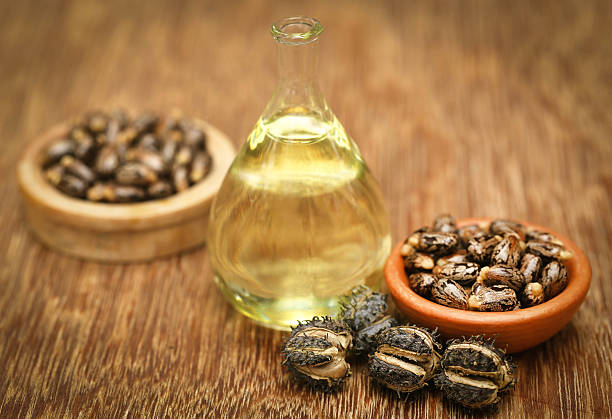 Castor oil beans