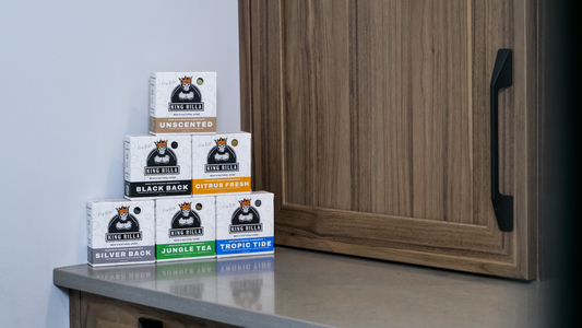 The Shower Maestro: A Guide to Mastering Bar Soap Like a Pro