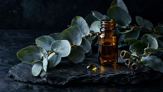 Eucalyptus leaves, an amber vial and oil on black slate.