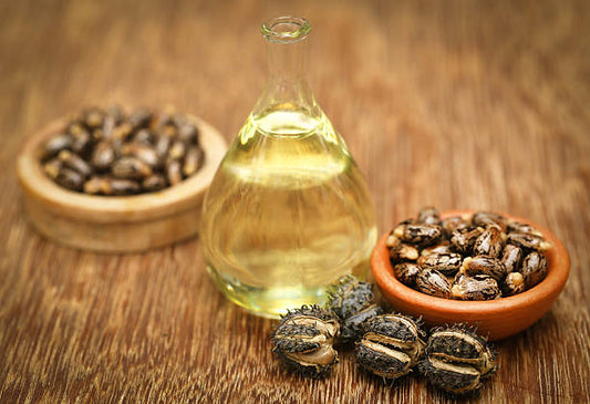 Castor oil beans