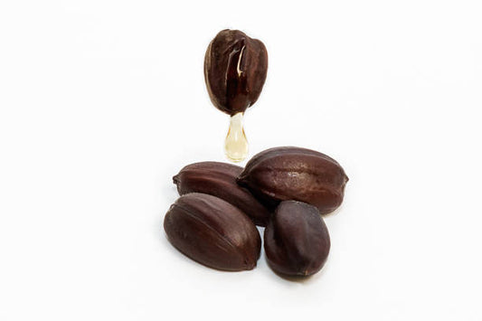 Jojoba Oil - The Lip Smooth Operator for Dapper Dudes!