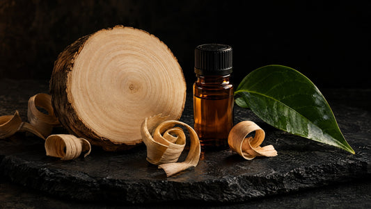 Ho wood, a botanical leaf and an amber ingredient vial on black slate.