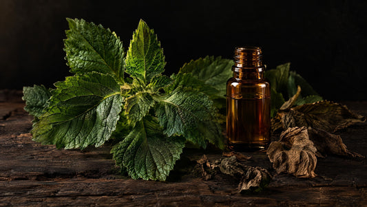 Patchouli leaves and an amber ingredient vial on dark weathered wood.