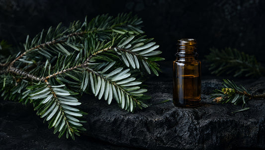 Silver fir needles and an amber ingredient vial against dark volcanic stone.