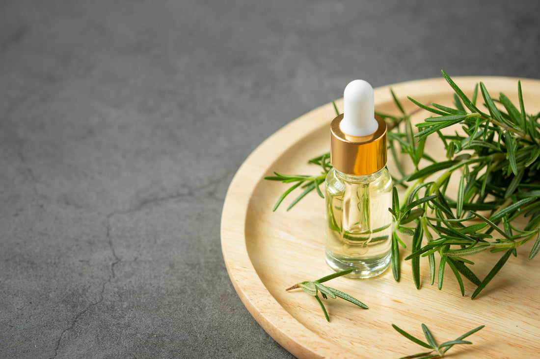 Rosemary Essential Oil: A Herbaceous Marvel