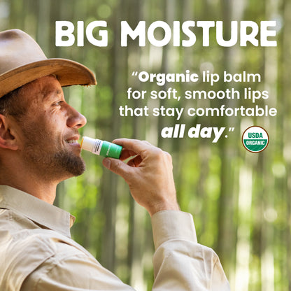 Lip Balm - 4 Pack