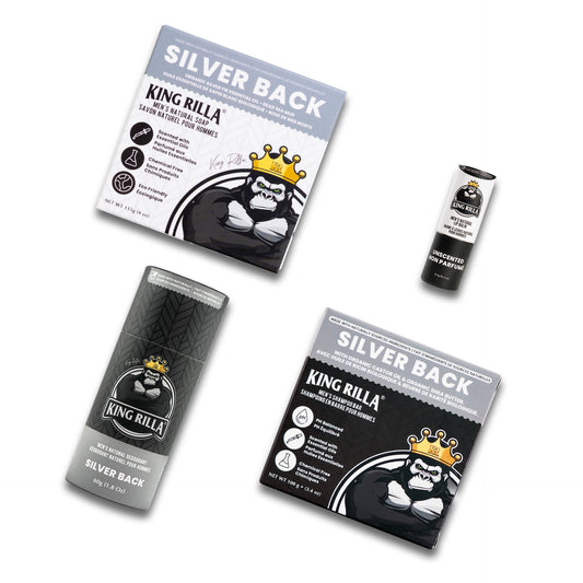 Silver Back Pack