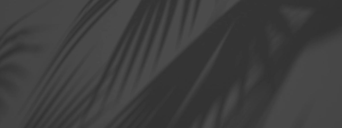 Soft shadow of palm leaves on a minimalist gray background